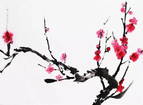 “梅迷”踏雪尋“梅”所為何？